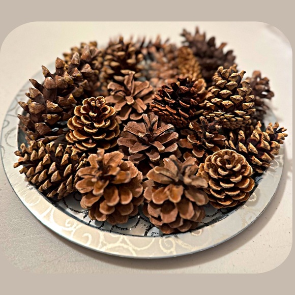 Pinecones Assorted Holiday Decor - Picture 3 of 5